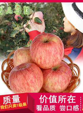 苹果水果新鲜红富士整箱5斤山东烟台栖霞当季脆甜平安果圣诞