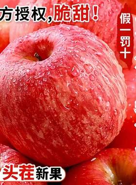 正宗山东烟台一级红富士苹果栖霞水果当季新鲜整箱10斤脆甜冰糖心