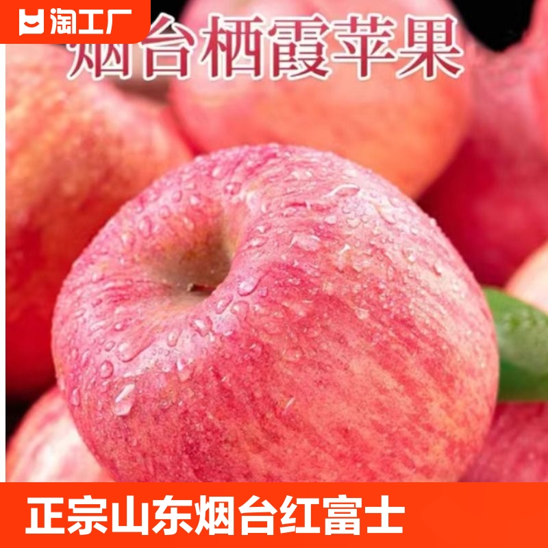 正宗烟台栖霞红富士苹果新鲜应季水果冰糖心脆甜苹果中大果整箱