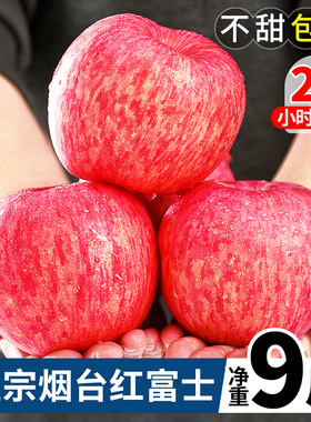 山东烟台红富士苹果9斤水果新鲜当季整箱正宗栖霞冰糖心丑10苹果