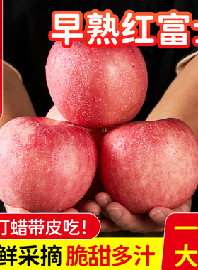 正宗山东烟台红富士苹果栖霞一级精品冰糖心当季整箱10斤新鲜水果