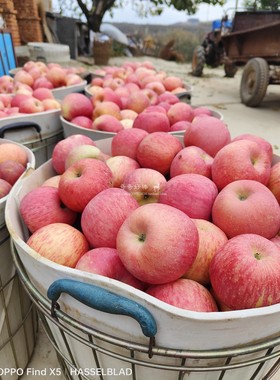 【80#10斤】2022新采摘烟台栖霞红富士苹果 自家果园健康水果