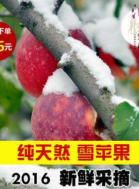 山东霜降老树红富士苹果新鲜水果特价大果5斤包邮比烟台栖霞甜脆