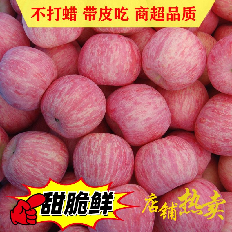 山东苹果烟台红富士脆甜吃的新鲜水果栖霞净果9斤
