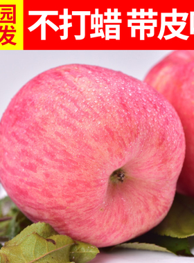 烟台苹果水果栖霞红富士新鲜脆甜纯天然山东特产当季水果80果10斤