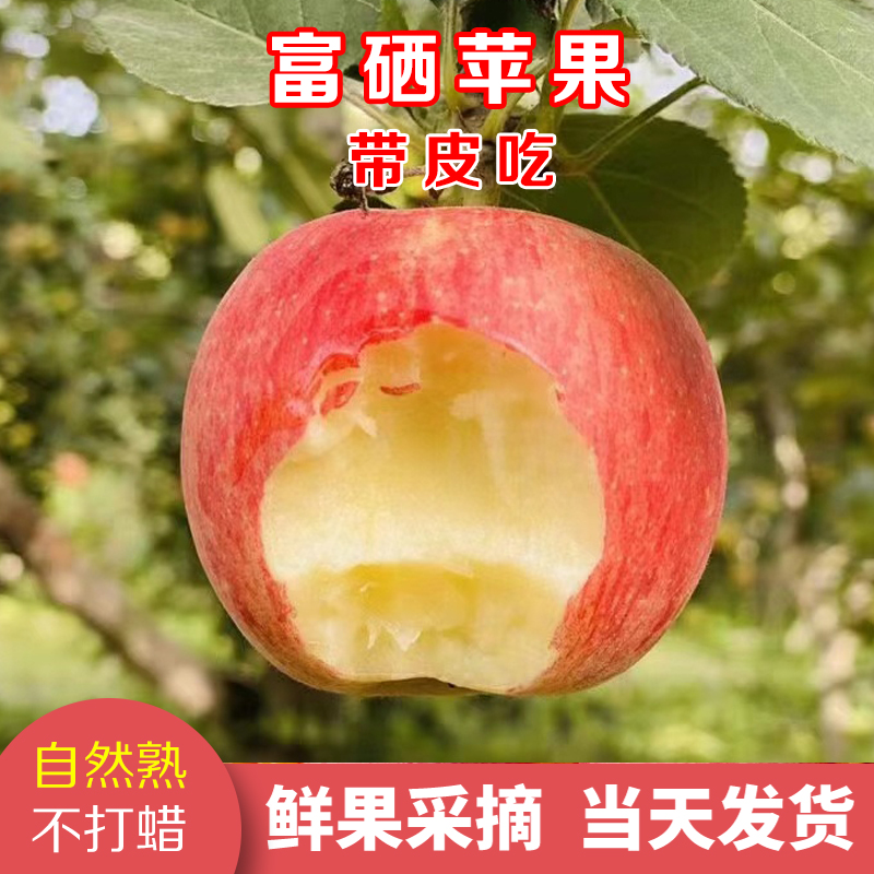 新苹果山东烟台栖霞红富士苹果新鲜水果当季孕妇现摘10斤整箱大果