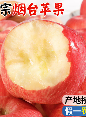 【直播推荐】苹果新鲜水果当季整箱山东烟台栖霞红富士平果脆甜