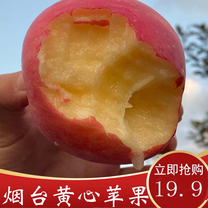 烟台红富士苹果9斤水果新鲜应当季栖霞萍果冰糖心丑平安果整箱