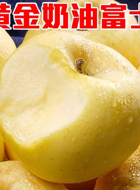 山东烟台栖霞酸甜黄金奶油富士苹果当季新鲜水果现摘现发自然成熟