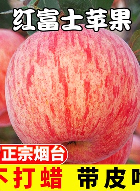 苹果新鲜水果当季整箱10斤包邮山东烟台栖霞红富士平果脆甜丑苹果