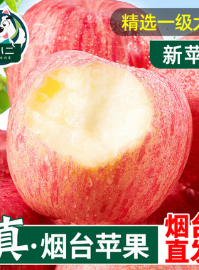 烟台红富士苹果10斤水果新鲜应当季栖霞萍果冰糖心丑平果整箱