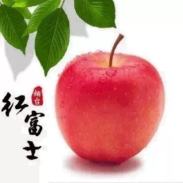 新鲜正宗山东栖霞红富士脆甜苹果水果10烟台富士苹果10斤整箱包邮