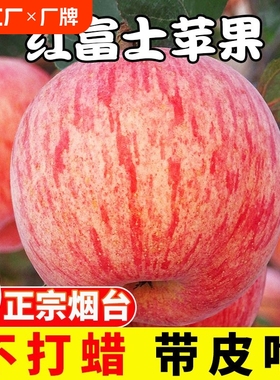 烟台红富士苹果新鲜水果当季时令整箱山东栖霞苹果脆甜冰糖自然