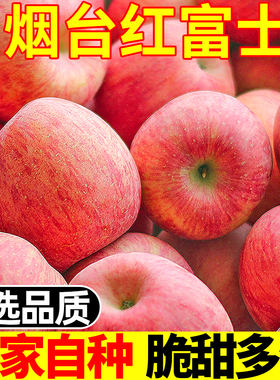 烟台红富士苹果水果新鲜整箱当季8.5斤栖霞丑平萍果一级脆甜包邮