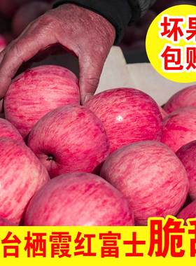 2023年新鲜应季山东烟台红富士苹果栖霞红富士冰糖心新鲜水果甜面多汁3/5/9斤