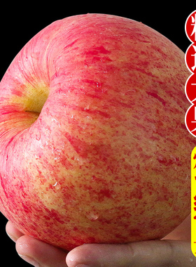 红富士苹果水果礼盒装脆甜正宗山东烟台苹果栖霞新鲜当季整箱送礼