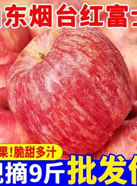 山东烟台红富士苹果苹果当季新鲜水果脆甜丑栖霞苹果整箱精选现摘