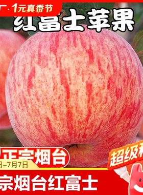 烟台红富士苹果新鲜水果新鲜当季时令整箱山东栖霞苹果脆甜冰糖