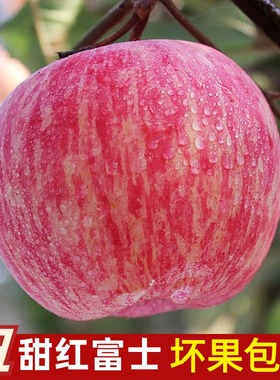 正宗山东烟台丑苹果脆甜栖霞红富士苹果新鲜苹果水果当季整箱