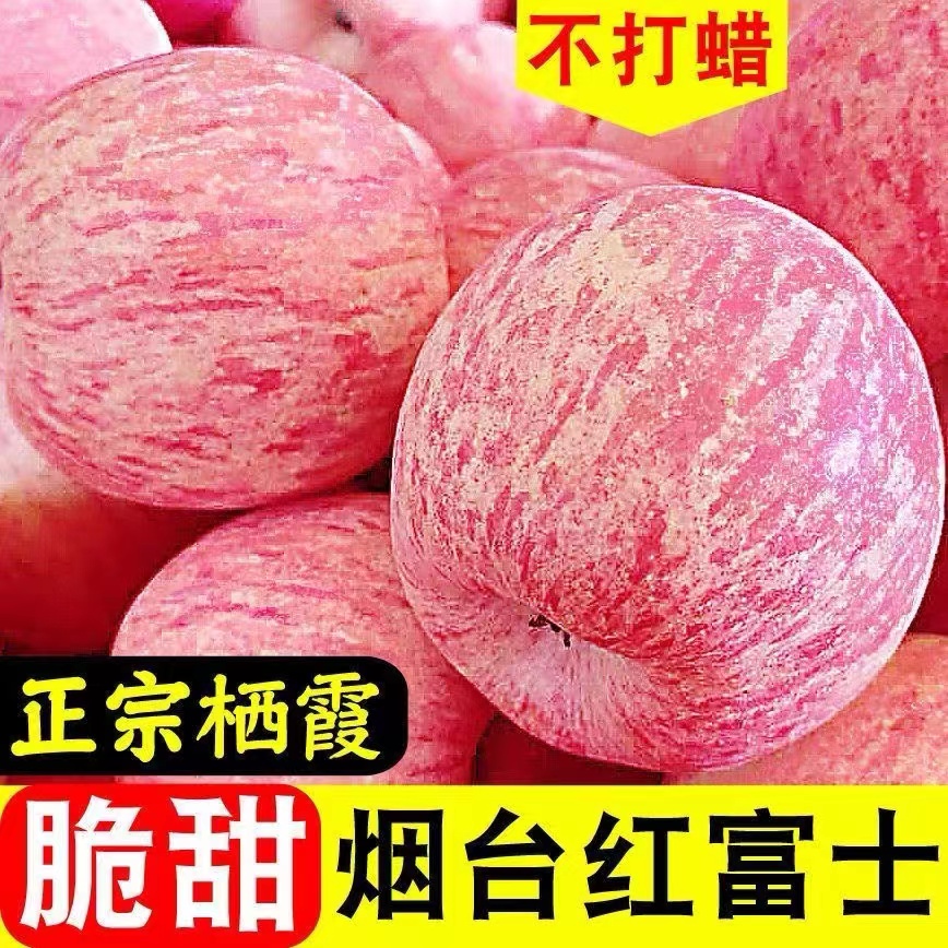 【淡雪富士】正宗烟台栖霞红富士苹果脆甜新鲜水果整箱产地直发