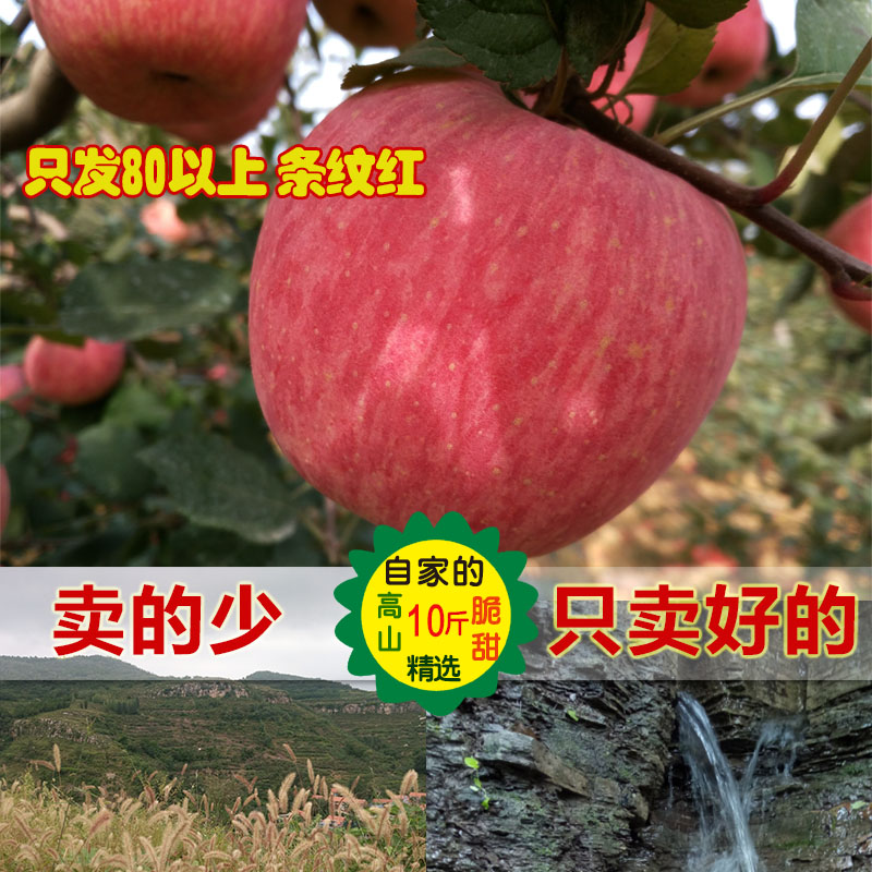 2019新鲜苹果水果山东沂源红80大果红富士脆甜胜烟台栖霞陕西苹果