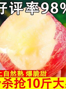 山东烟台红富士苹果水果新鲜整箱10斤包邮栖霞平果一级脆甜大果