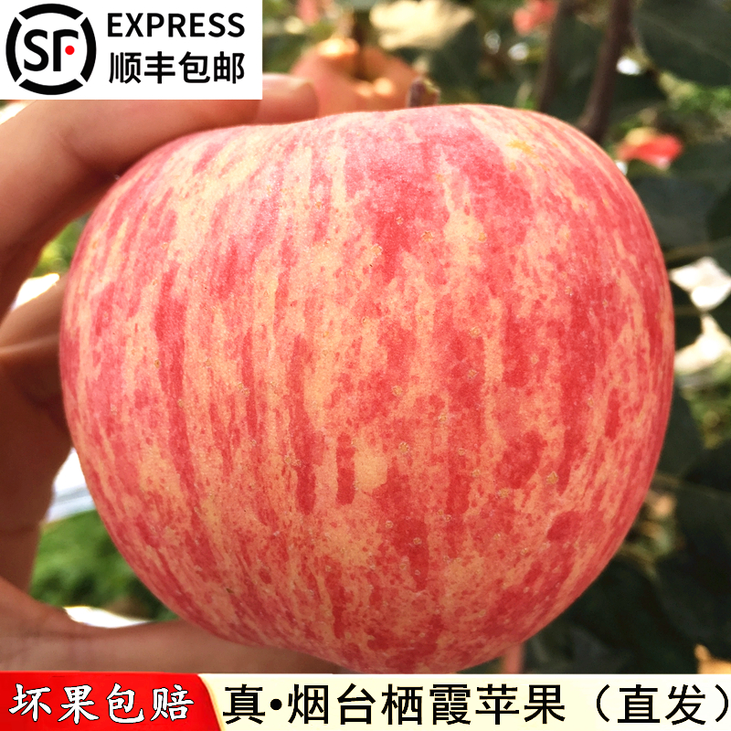顺丰包邮苹果水果新鲜当季整箱山东烟台栖霞红富士苹果10斤脆甜