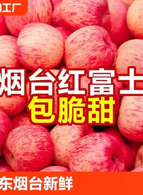 山东烟台栖霞红富士新鲜苹果水果甜脆多汁不打蜡包邮农家自产自销