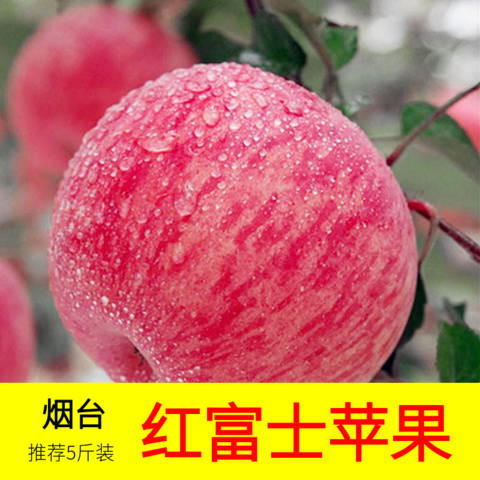 烟台红富士苹果水果新鲜当季整箱山东栖霞脆甜冰糖心丑平果