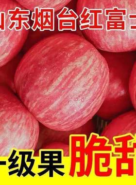 新鲜脆甜烟台栖霞水果苹果红富士当季平果整箱2023年9斤苹果