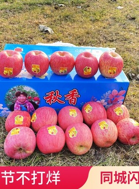 栖霞红富士苹果秋香苹果礼盒净果8斤15个装 时令水果山东大苹果