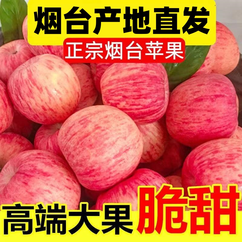 烟台红富士苹果水果新鲜当季整箱10斤山东栖霞脆甜冰糖心苹果新鲜
