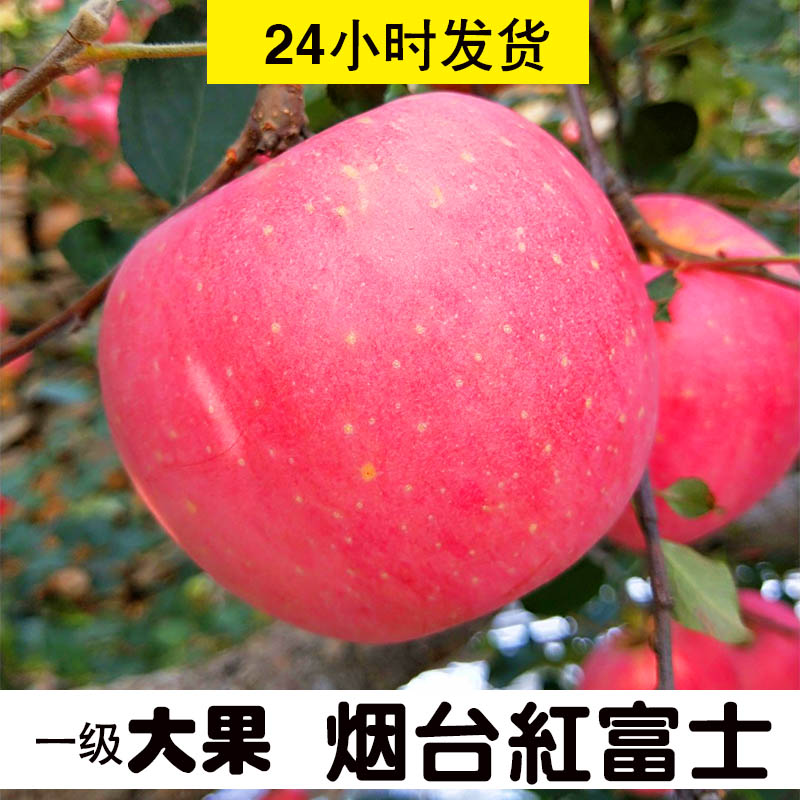 正宗山东烟台苹果栖霞特产新鲜红富士应季水果整箱10斤