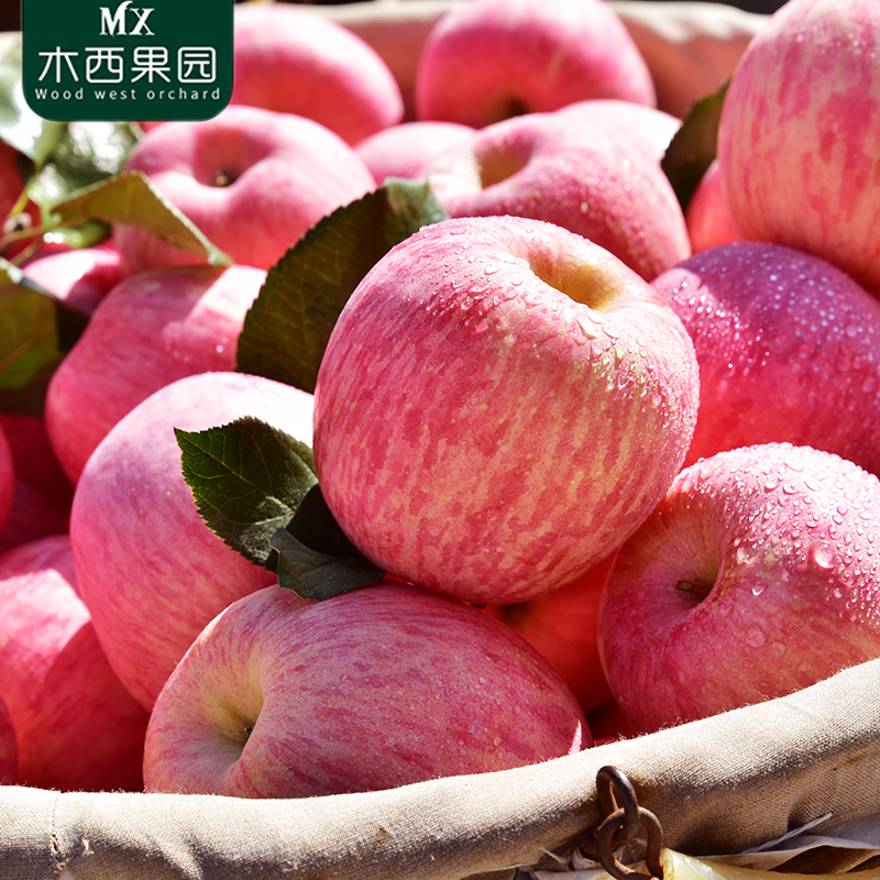 【脆甜才正宗】山东烟台栖霞红富士苹果应季当季水果批发3-10斤
