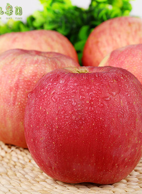 【小马儿果园】烟台苹果80#5斤正宗栖霞红富士苹果新鲜水果包邮