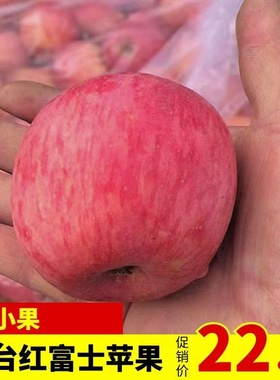 烟台栖霞红富士苹果70mm左右小小果专拍链接新鲜水果脆甜多汁迷你