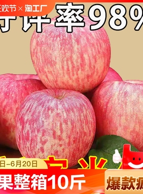 正宗烟台红富士苹果当季新鲜水果山东栖霞脆甜苹果整箱10斤包邮