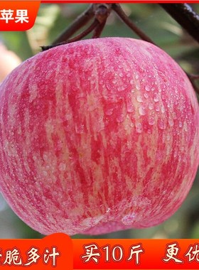 苹果水果山东烟台苹果栖霞红富士一整箱10斤新鲜散装当季甜脆水果