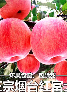 烟台苹果红富士山东栖霞苹果水果新鲜整箱当季脆甜批发不打蜡10斤