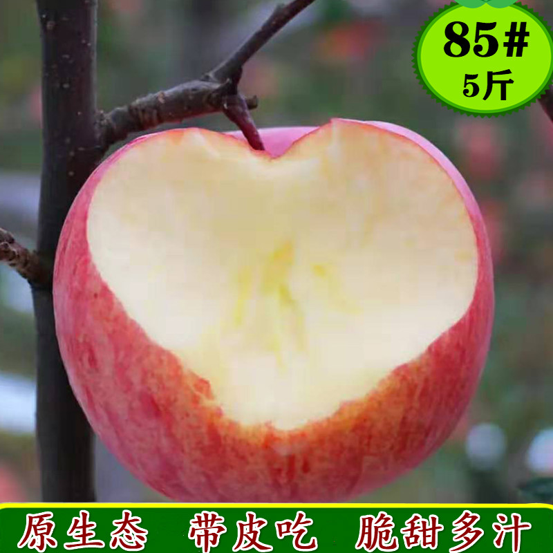 山东烟台红富士苹果栖霞85mm特一整箱新鲜水果脆甜孕妇5/10斤