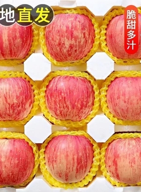 山东烟台红富士栖霞苹果当季水果新鲜脆甜不打蜡带皮吃整箱水大果