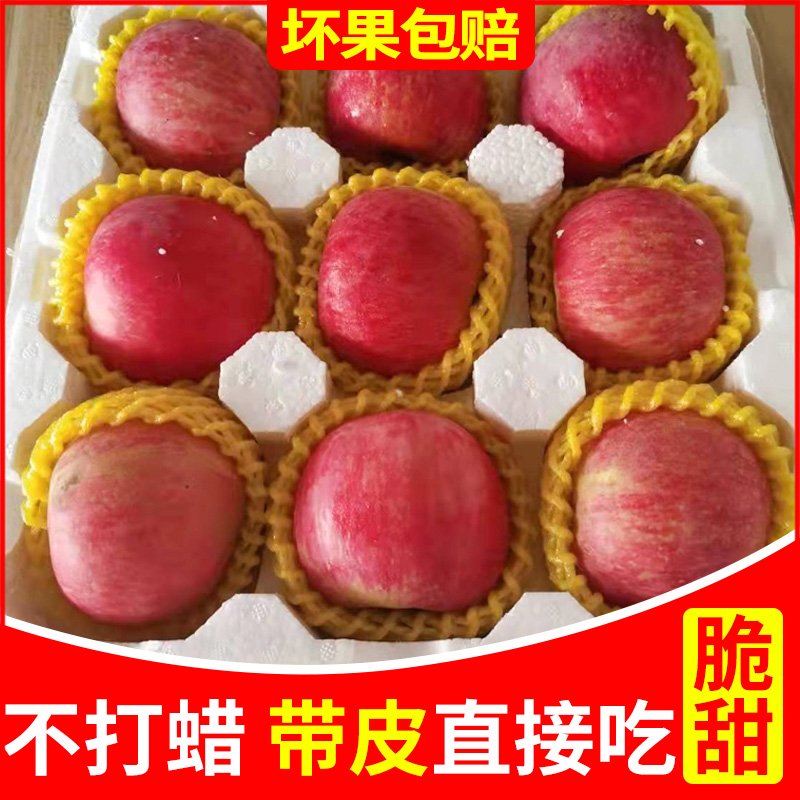 正宗烟台栖霞红富士新鲜脆甜苹果水果山东特产富士苹果整箱