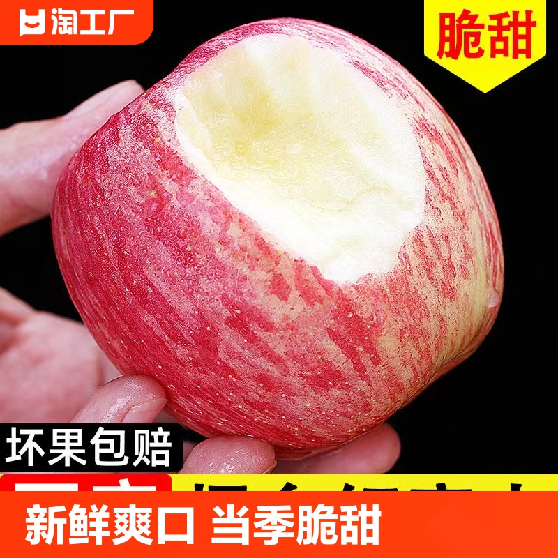 正宗山东烟台苹果脆甜栖霞红富士苹果当季新鲜水果5斤整箱精选