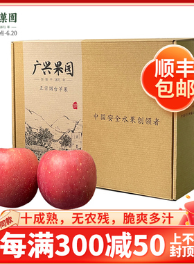 广兴果园烟台红富士栖霞苹果山东新鲜水果节日福利12颗礼盒装