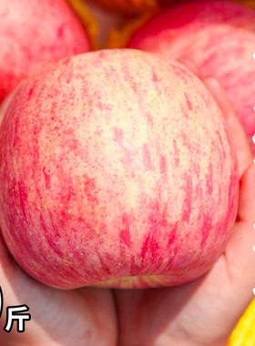 山东烟台红富士苹果10斤新鲜水果当季栖霞萍果整箱丑平果包邮脆甜