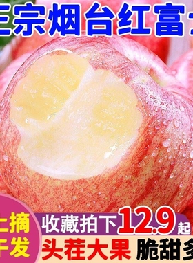 山东烟台红富士10斤苹果水果新鲜整箱包邮应当季冰糖心栖霞苹果