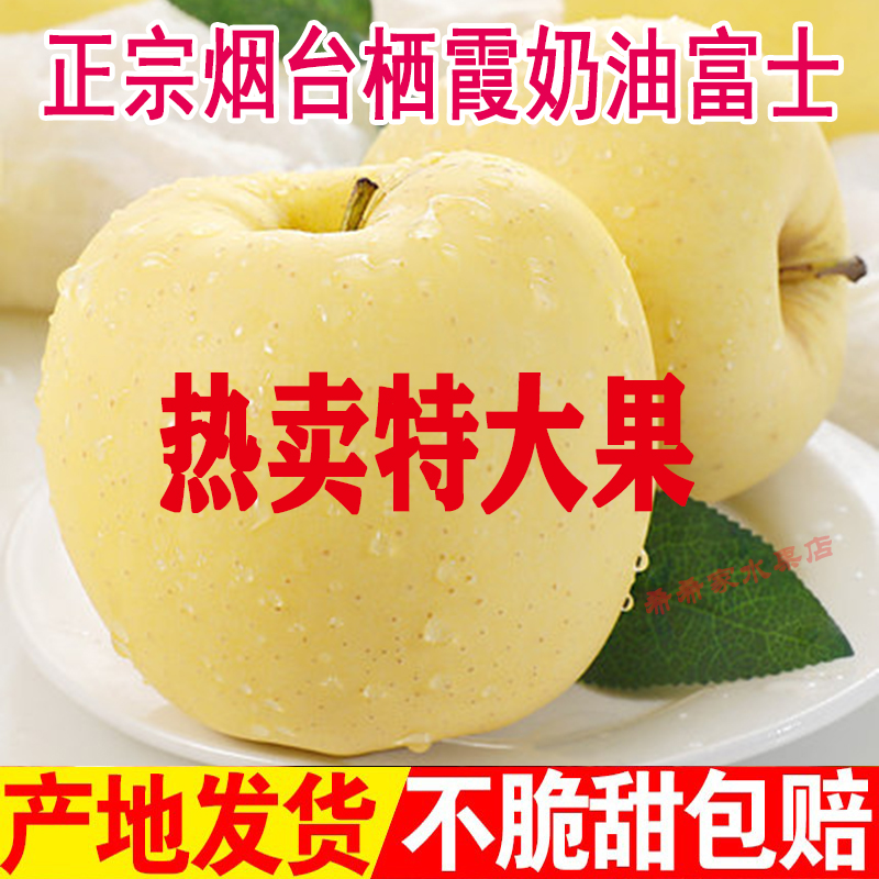 烟台栖霞黄金奶油富士苹果10斤冰糖心特级大果牛奶新鲜水果脆甜5