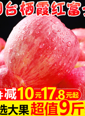 烟台红富士苹果水果9斤新鲜山东栖霞特产脆甜丑萍果当季整箱5