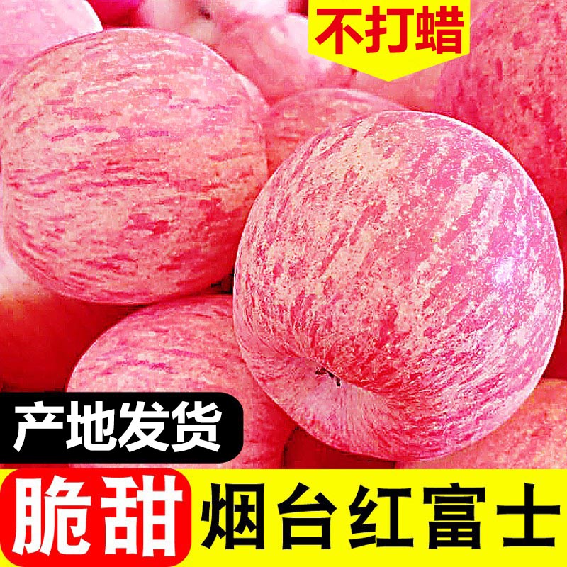 产地直发烟台红富士苹果山东栖霞新鲜水果不打蜡一级脆甜当季整箱