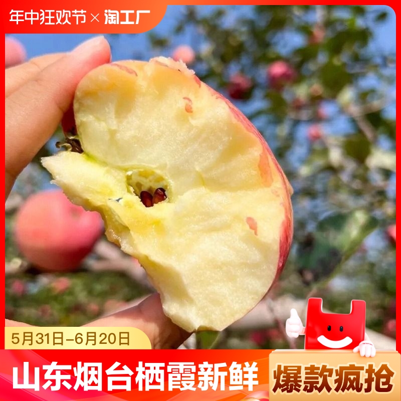 山东烟台栖霞红富士苹果水果新鲜整箱当季脆甜大果产地一级